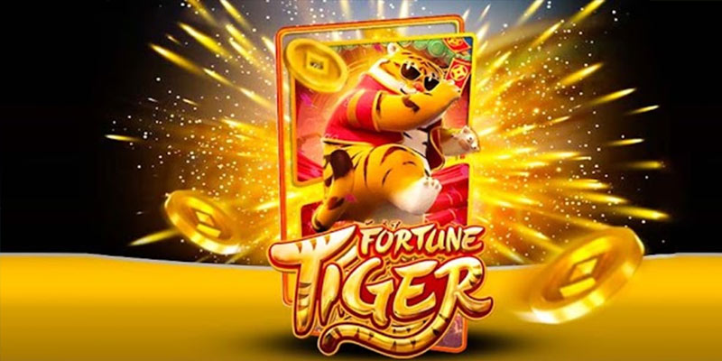 Quem é o Fortune Tiger 56dbet.Com